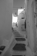 IMG_8253