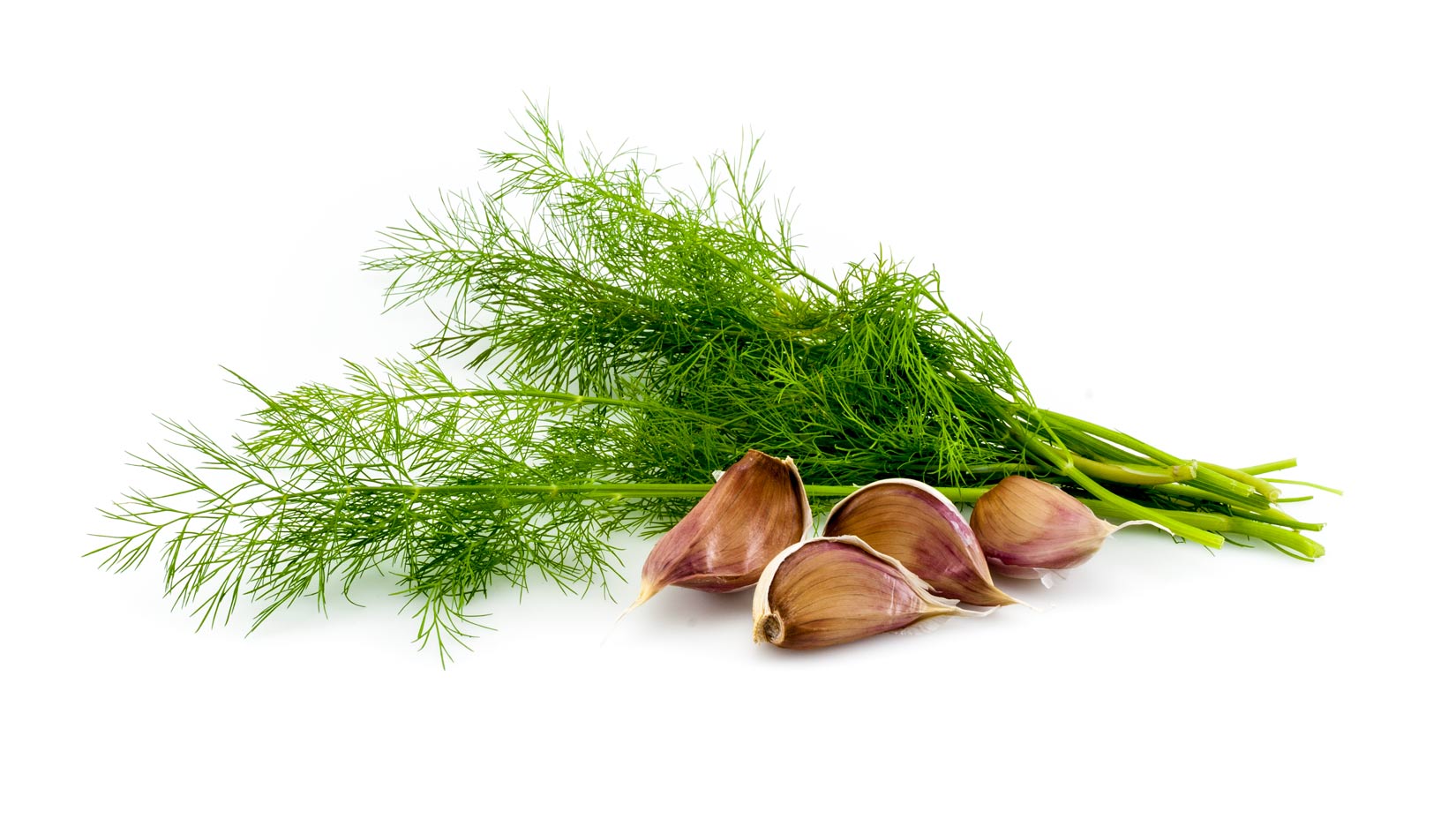 Kopr a česnek. Dvě základní chutě pro tzatziky