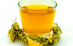 Řecký horský čaj - Hojník horský - nápoj chutný i léčivý po celý rok